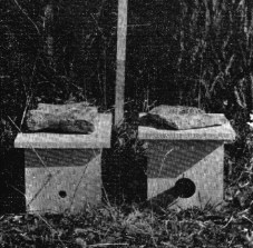 Fig.1.Domicile