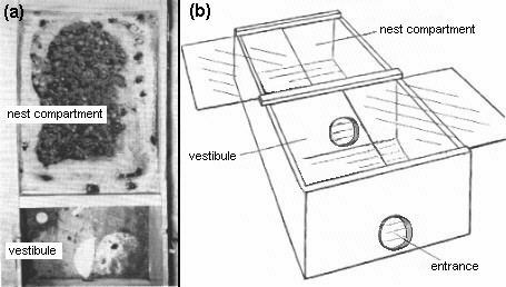 Fig.3.Domicile