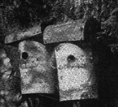 Fig.4.Birdbox