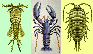 crustacean classification
