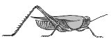 F03a