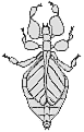 F05a