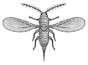 F07a