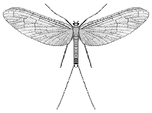 F07b