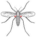 F08b