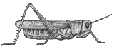 F12a