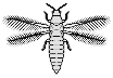F16a
