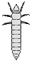 F61a