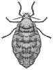 F63a