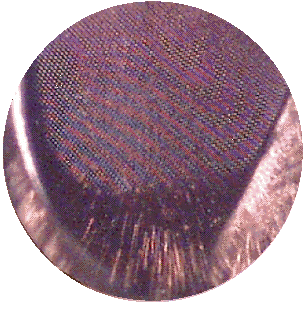 FLY COMPOUND EYE