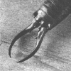 FORCEPS
