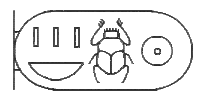 HIEROGLYPH