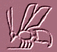 bit glyph